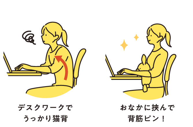 おなかに挟んで背筋ピン!
